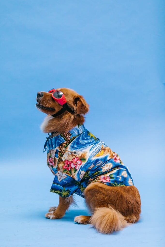 Hotel pet friendly con piscina a Bellariva
